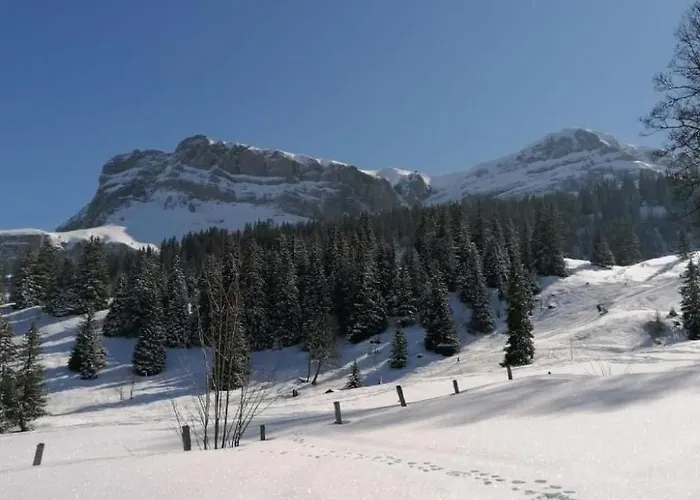 Apartment Huettboedeli By Interhome *